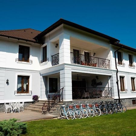 Conacul Dante Hotel Pianu de Jos Eksteriør billede